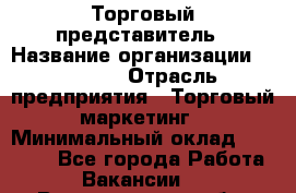 Торговый представитель › Название организации ­ Roossa › Отрасль предприятия ­ Торговый маркетинг › Минимальный оклад ­ 41 600 - Все города Работа » Вакансии   . Владимирская обл.,Владимир г.